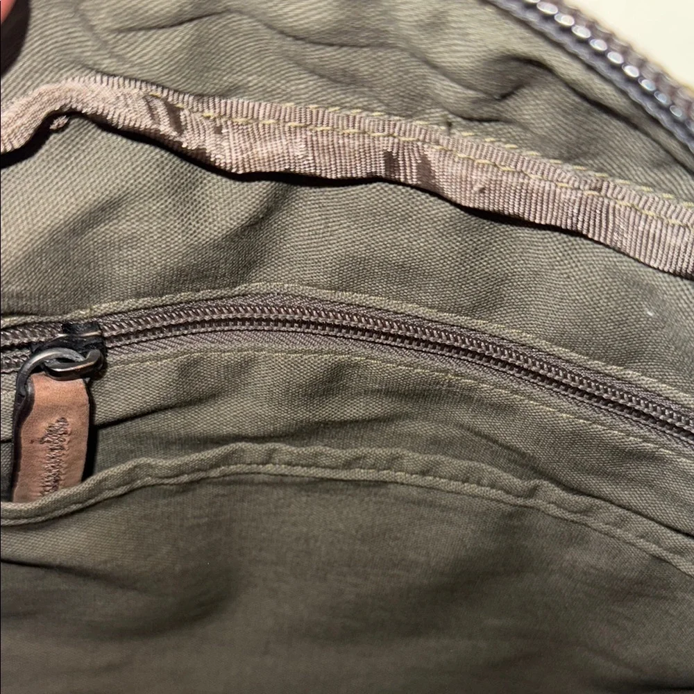 Fossil elegant messenger